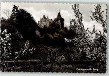 52134 W5120 Herzogenrath Foto AK Burg