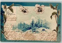 W4100 Duisburg Berge Blume 1899 Lithographie