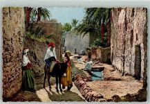Scenes & Types Afrique du Nord Un village du Sud Esel Volkstypen / Brauchtum Algerien