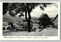 38709 W3391 Wildemann Foto AK