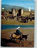 Fes Fez 1966 Foto AK Esel Marktszene