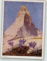 sign. Erich Stegmann Krokus Blume