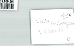 37447 W3426 Wieda FOTO KEINE AK Hotel Forellengrund Foto Original aus Archiv eines Ansichtskartenverlags Ort handschriftlich