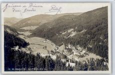 79837 W7822 St. Blasien - Blick von der Preensruhe