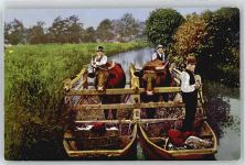 Viehtransport Trachten Spreewald