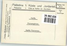 Haifa FOTO KEINE AK Palmengarten Trinks-Bildkarte Reihe 701 Bild 6