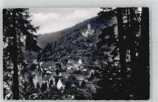 Bad Liebenzell AKU1 Burg / Schloss