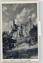 94209 W8370 Regen - Burgruine Weißenstein