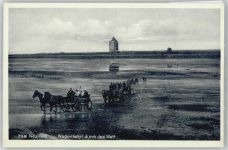 27499 W2000 Neuwerk Insel - Leuchtturm, Wagenfahrt durch das Watt