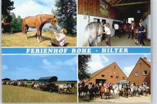 49762 W4474 Hilter (Ems) - Ferienhof Rohe, Pferd