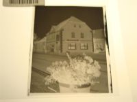 48493 W4441 Wettringen , Kr Steinfurt KEINE AK Negativ