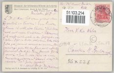 Mann in den Dünnen Liebermann, M.