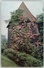 No.1530 , Wehrturm TSN