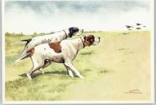 Notfini, Jagdhunde Künstler