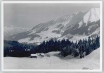 6992 Hirschegg , Kleinwalsertal FOTO KEINE AK Foto, Wäldele - Kinderheim Sonneck