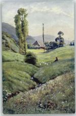 Schwarzwald Idyll Hoffmann, H.