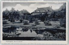 06749 O4400 Bitterfeld - Seerosenteich