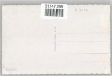 06749 O4400 Bitterfeld - Seerosenteich