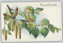 Pfingsten Maikäfer