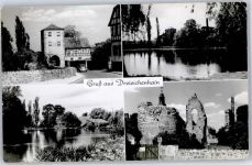 63303 W6072 Dreieichenhain - Burgruine
