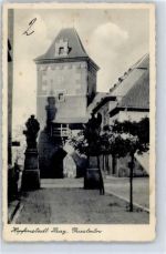 Zatec Saaz