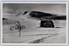 79868 W7828 Herzogenhorn , Schwarzwald Foto AK Herzogenhorngasthaus
