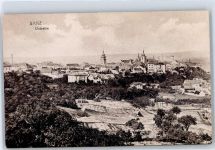 Zatec Saaz