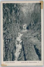 56112 W5427 Niederlahnstein - Ruppertsklamm
