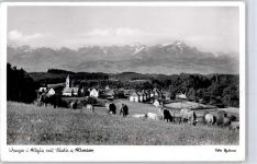 88239 W7988 Wangen im Allgäu - Säntis Altmann