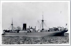 M.S. Tosari Handelsschiff Foto AK