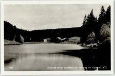 8775 Pisching Foto AK Oedteich