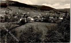 99444 O5301 Schwarza b Weimar, Thür Foto AK Blick zum Heiligenberg