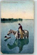 Pferd Hund