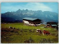 Trinkeralm - Gasthaus Schutzhütte