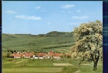 36115 W6414 Ehrenberg (Rhön) - Panorama
