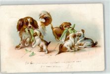 Hund Welpe 1902