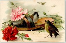 Blumen Vogel 1906