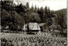98701 O6301 Friedersdorf , Thür - Gasthaus Ölschröte
