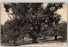 01220 Divonne-les-Bains