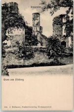 69151 W6903 Dilsberg - Burgruine