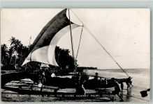 Fishing Boats drawn up on the Shore against Palms