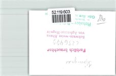 83471 W8240 Königssee b Berchtesgaden FOTO KEINE AK Ort handschriftlich See
