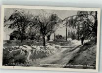 98666 O6113 Masserberg - Winter