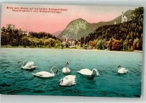 87645 W8959 Hohenschwangau - Alpsee Schloss Neuschwanstein Schwäne