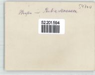 54700 Mousson FOTO KEINE AK WK I