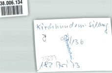 57399 W5942 Kirchhundem FOTO KEINE AK Silberg Ort handschriftlich Foto Original aus Archiv eines Ansichtskartenverlags