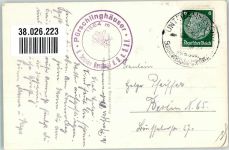 82497 W8101 Unterammergau - Pürschlinghäuser Ziegen