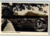 01814 O8320 Bad Schandau Gebrauchsspuren Schrammsteinbaude Falkenstein