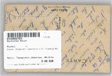 Alger - Algier (Algerien) Leporello I-II (fleckig RS)