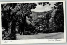79410 W7847 Badenweiler Foto AK Blick von der Kurterrasse